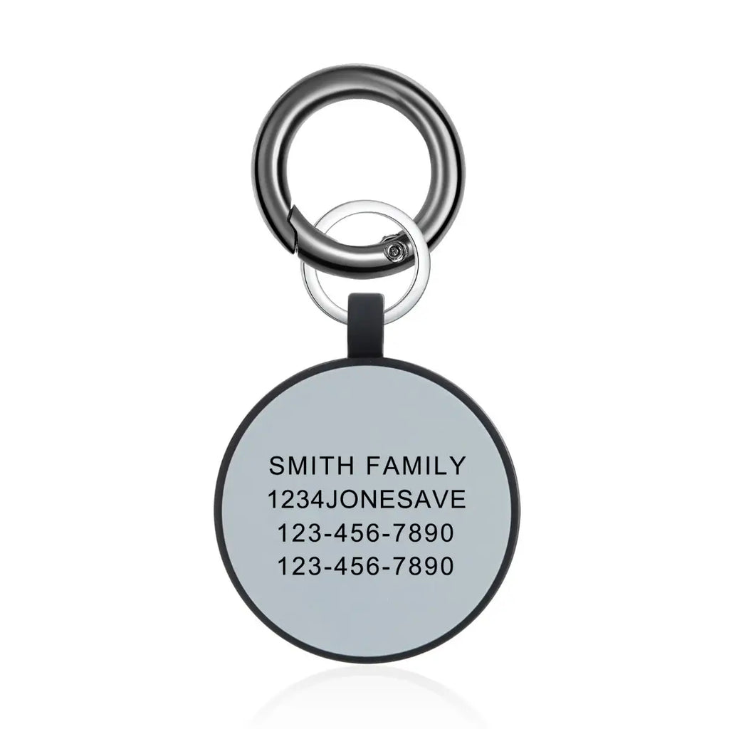 Silica Gel Halloween Personalised Dog Tag